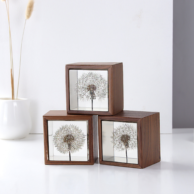 Dandelion preserved fresh flow - Flower Preservation Resin ulasan dan harga