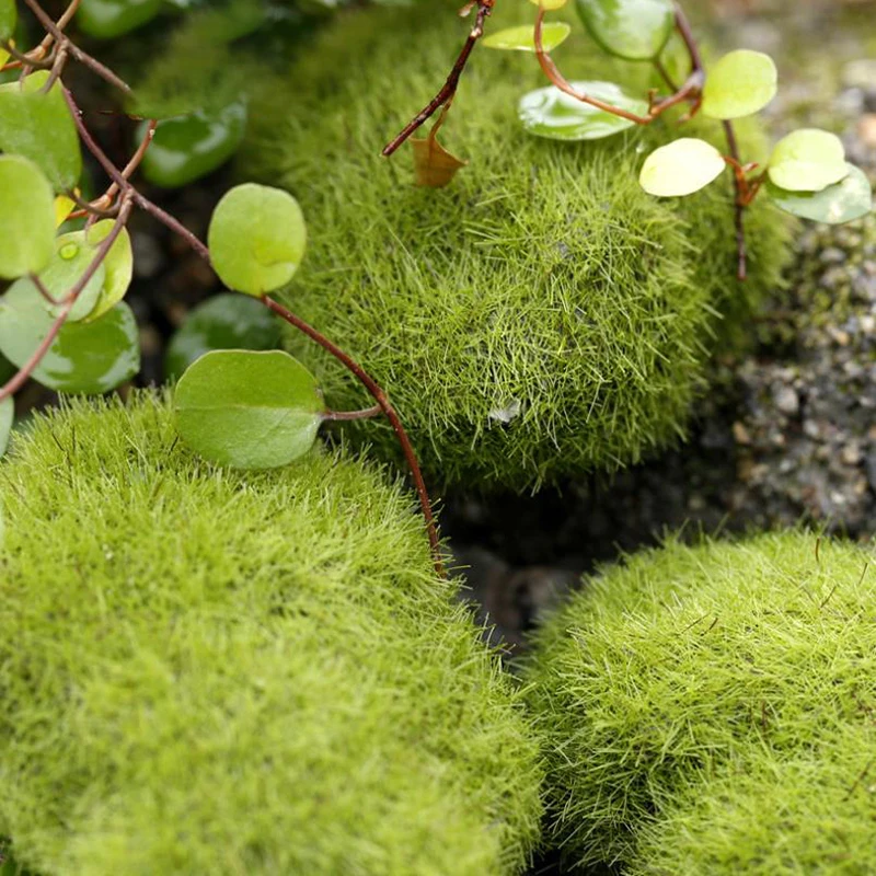 4Pcs Micro Landscape Artificia - Terrarium Moss Art ulasan dan harga