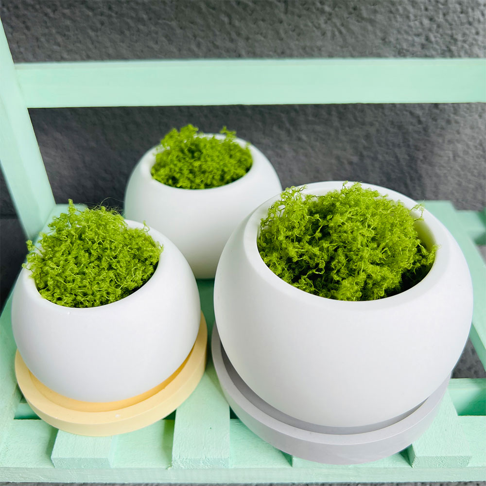 Spherical Flowerpot Silicone M - Serving Tray Mold ulasan dan harga