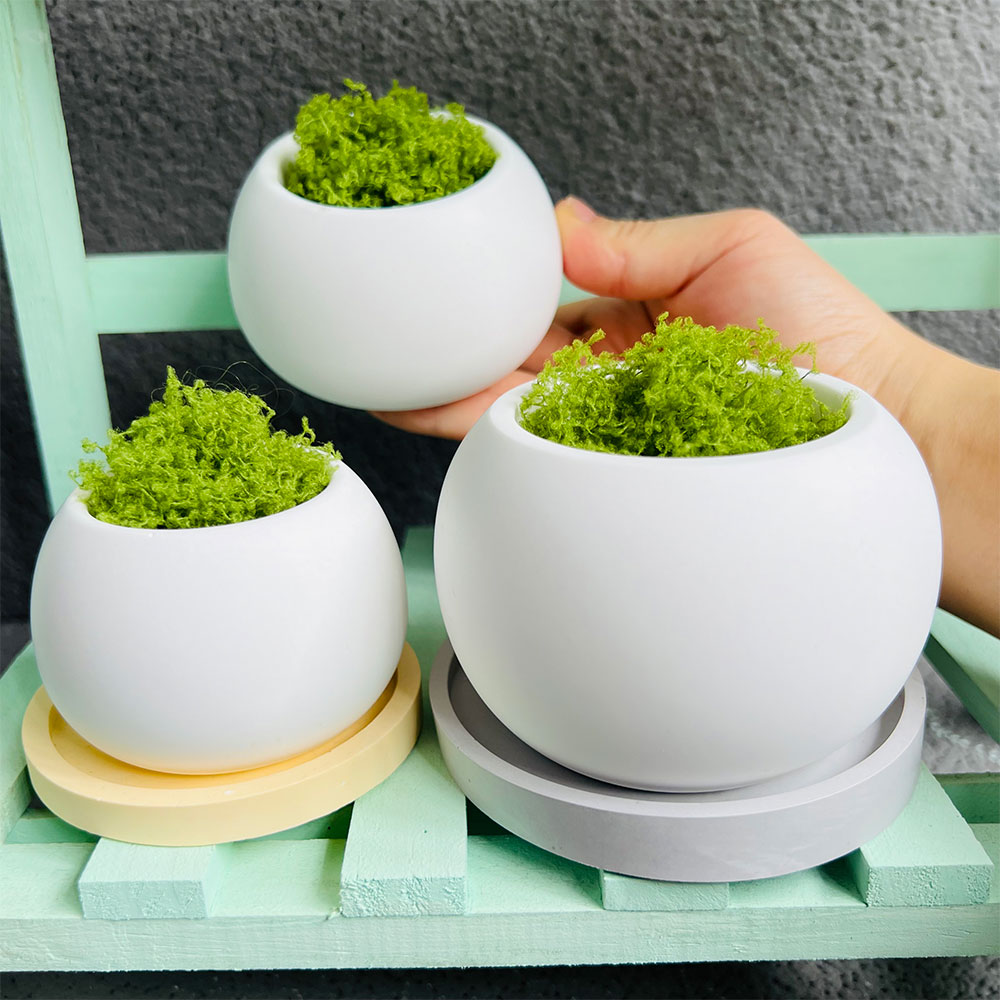 Spherical Flowerpot Silicone M - Serving Tray Mold ulasan dan harga