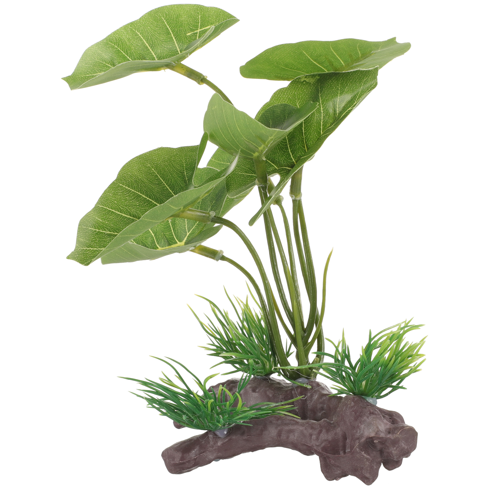 Fish Tank Artificial Water Pla - Terrarium Moss Art ulasan dan harga