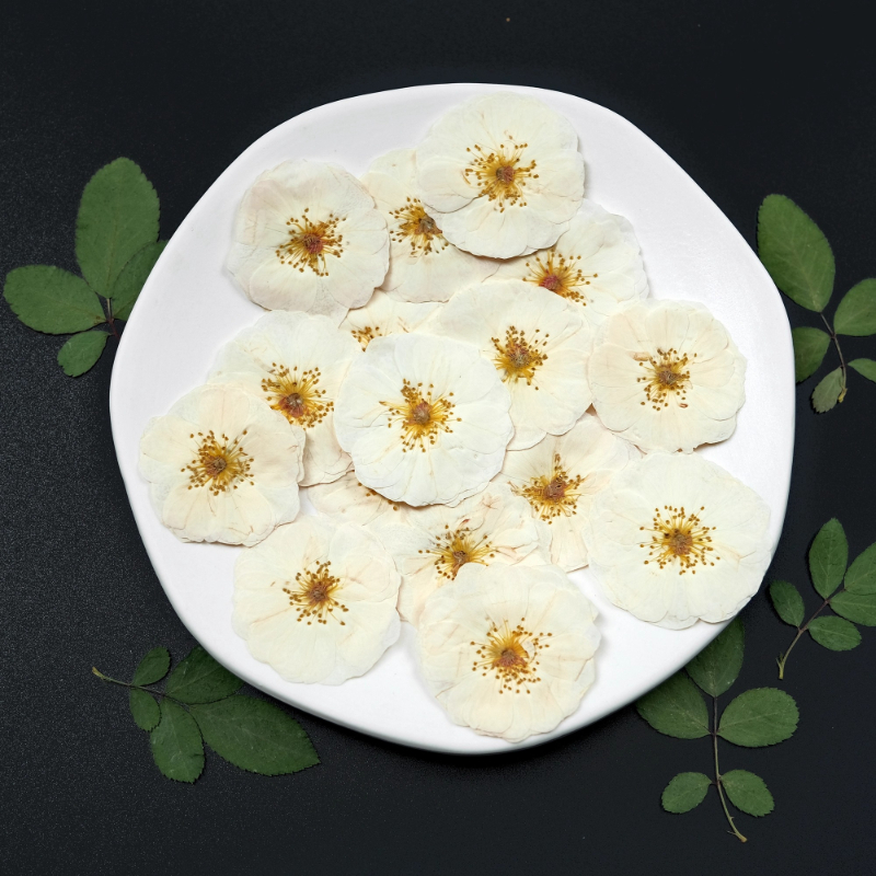 6pcs,9pcs,Nature White Rose Pr - Dried Flower Bulk ulasan dan harga