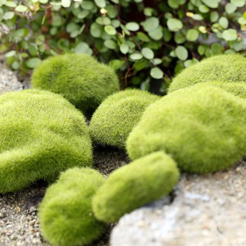 Fake Stone Artificial Moss Roc - Terrarium Moss Art ulasan dan harga