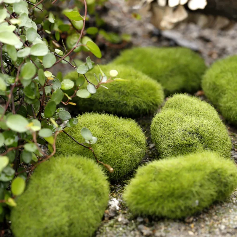 Fake Stone Artificial Moss Roc - Terrarium Moss Art ulasan dan harga