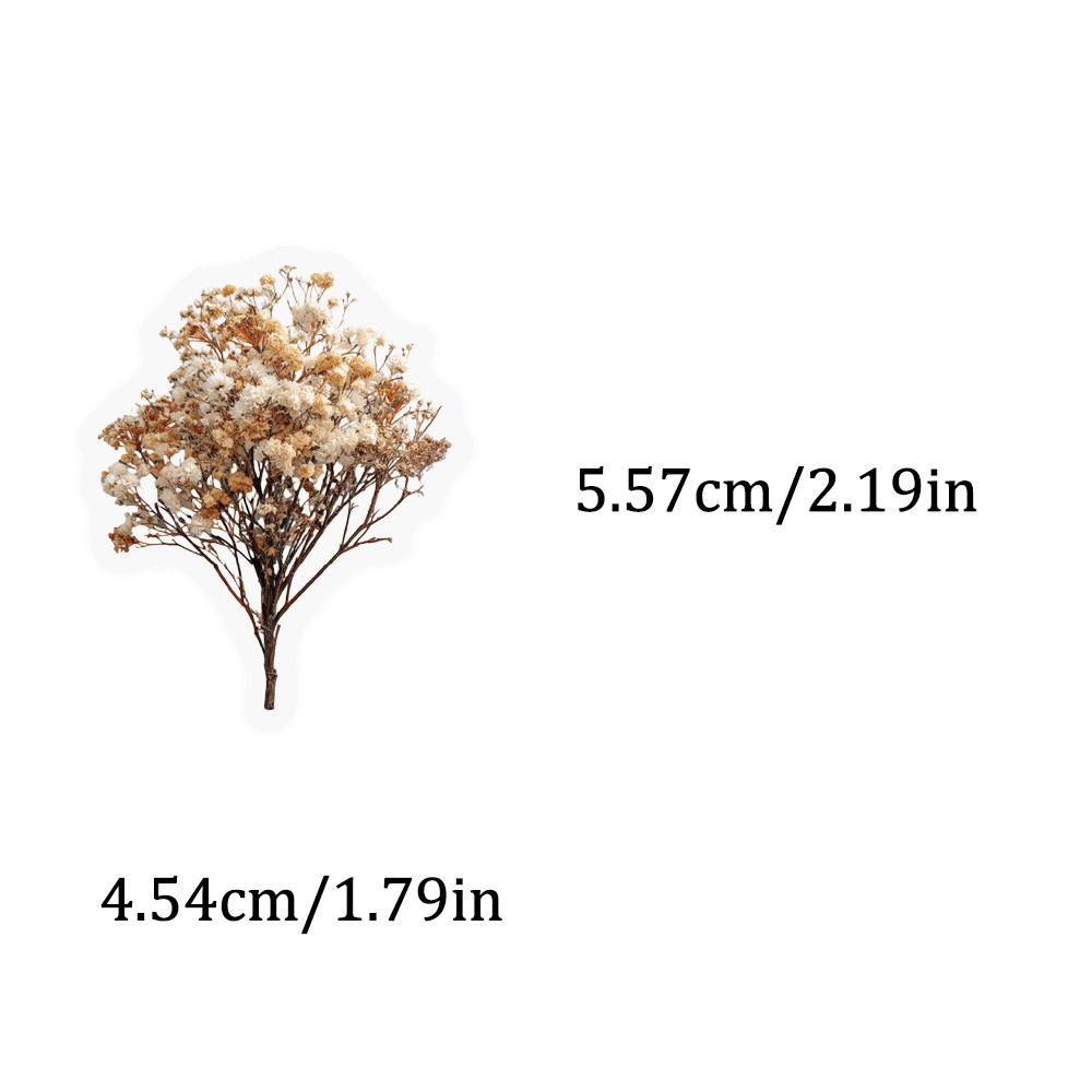 50PCS Retro Color Dried Flower - Dried Flower Bulk ulasan dan harga