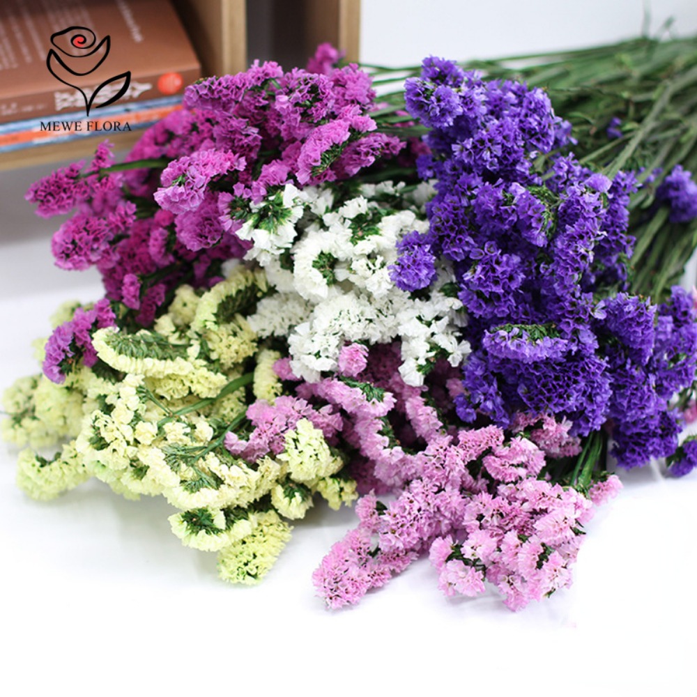 100g Dried Forget Me Not Flowe - Dried Flower Bulk ulasan dan harga