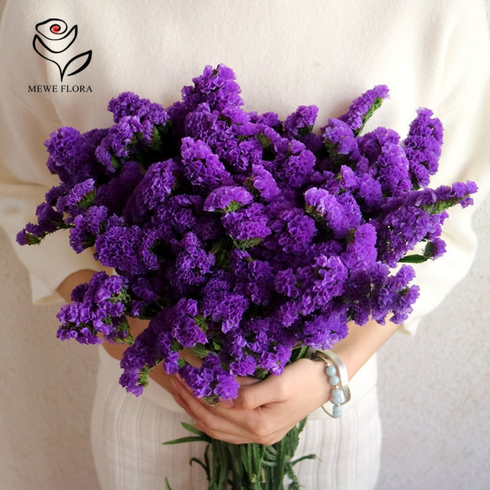 100g Dried Forget Me Not Flowe - Dried Flower Bulk ulasan dan harga