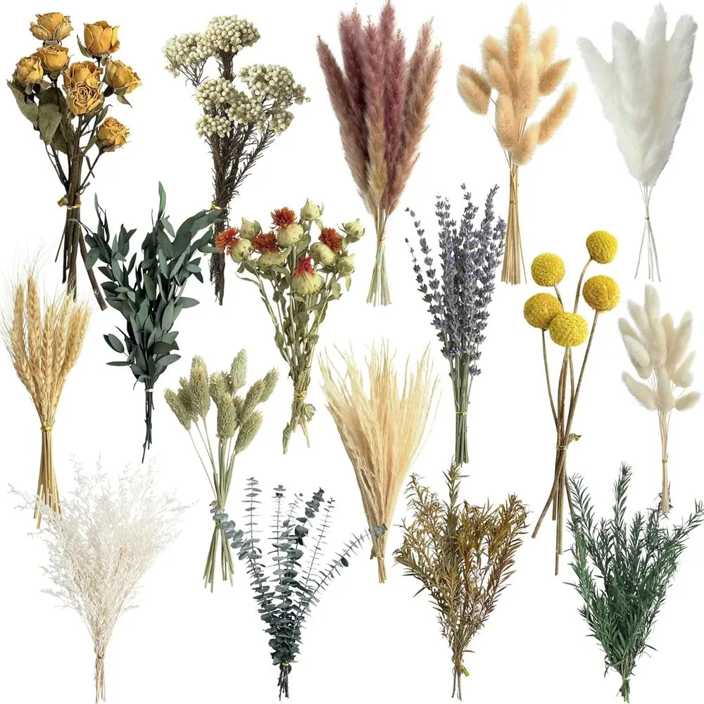 Natural Dried Flower Set, Mini - Dried Flower Bulk ulasan dan harga