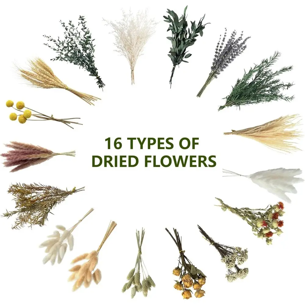 Natural Dried Flower Set, Mini - Dried Flower Bulk ulasan dan harga
