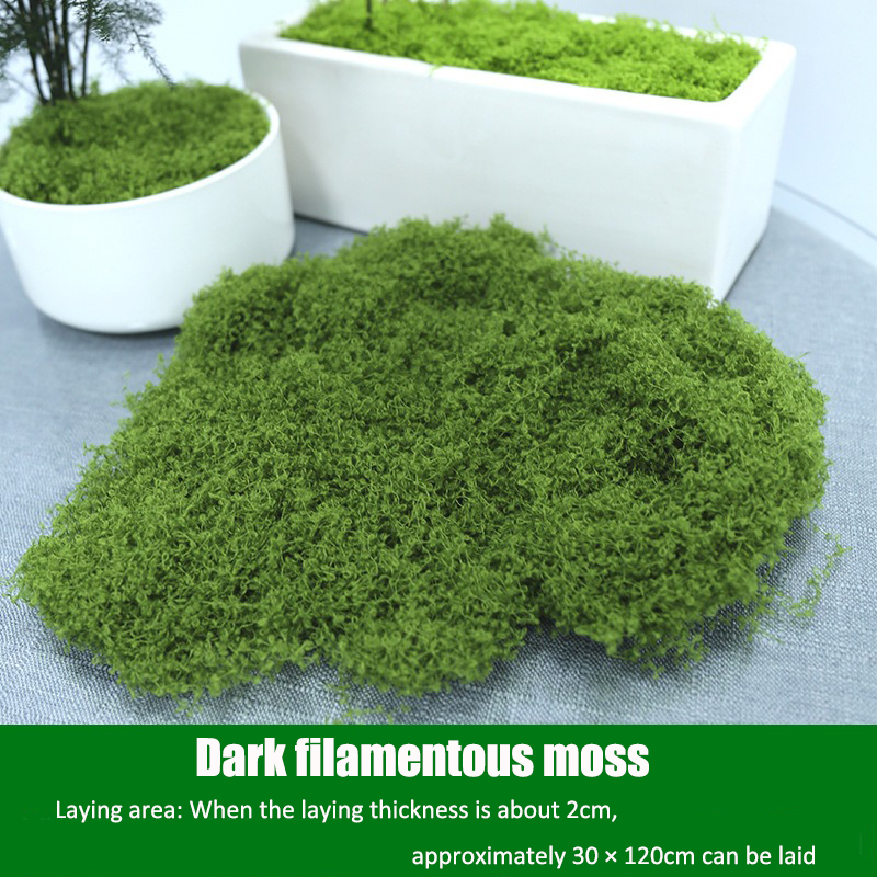 Artificial simulation of moss  - Terrarium Moss Art ulasan dan harga
