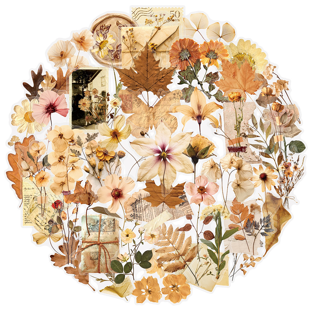10/30/50pcs Transparent Dried  - Dried Flower Bulk ulasan dan harga