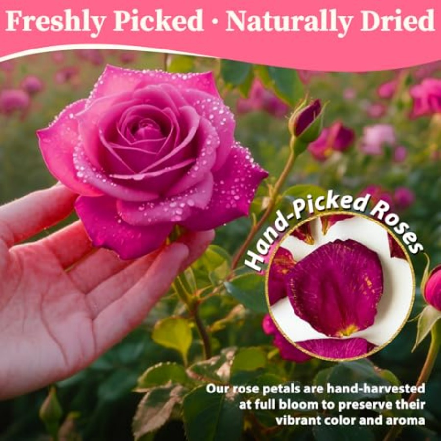 Dried Rose Petals Bulk 5oz Nat - Dried Flower Bulk ulasan dan harga